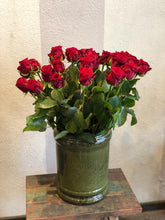 Caricare l'immagine nel visualizzatore di Gallery, Rose rosse-Maspes Piante e Fiori
