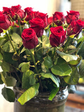 Caricare l'immagine nel visualizzatore di Gallery, Rose rosse-Maspes Piante e Fiori

